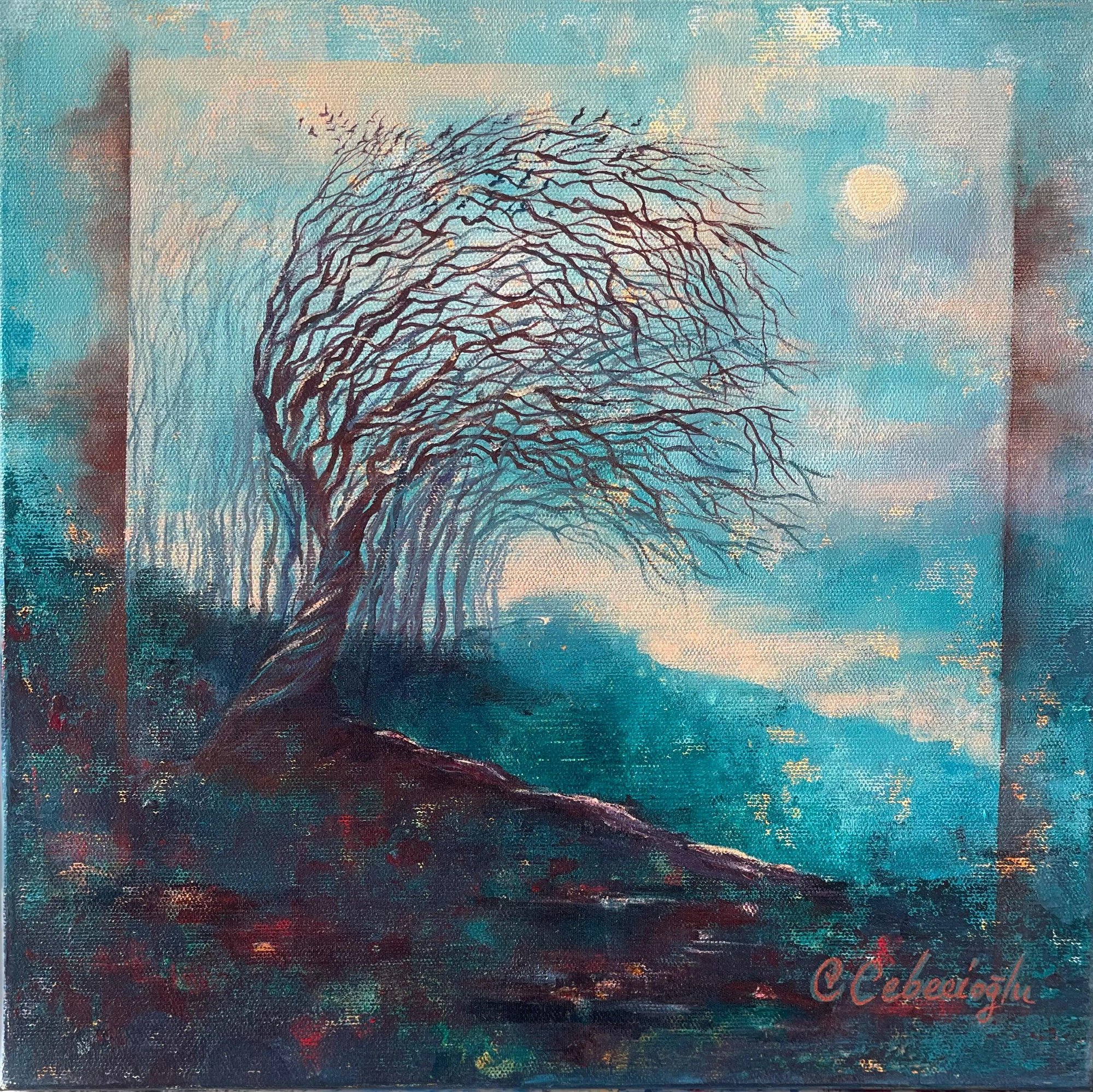 13 30 c 30 cm